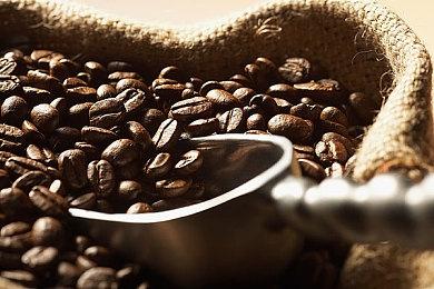 《驱灵者：新伊甸的幽灵》新预告片展示战斗＆探索